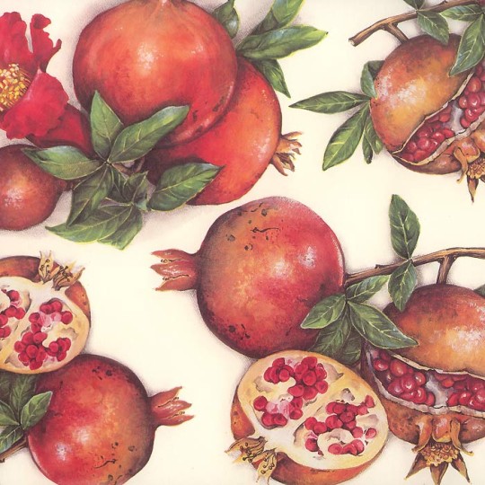 Mixed Pomegranates Italian Paper ~ Tassotti